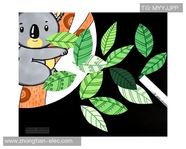 自制足球明星名字大全创意灵感分享助你打造独特球员形象