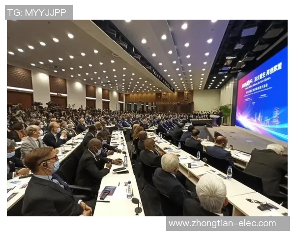 武汉足球队的转型之路:从辉煌到重生的真实纪实与未来展望